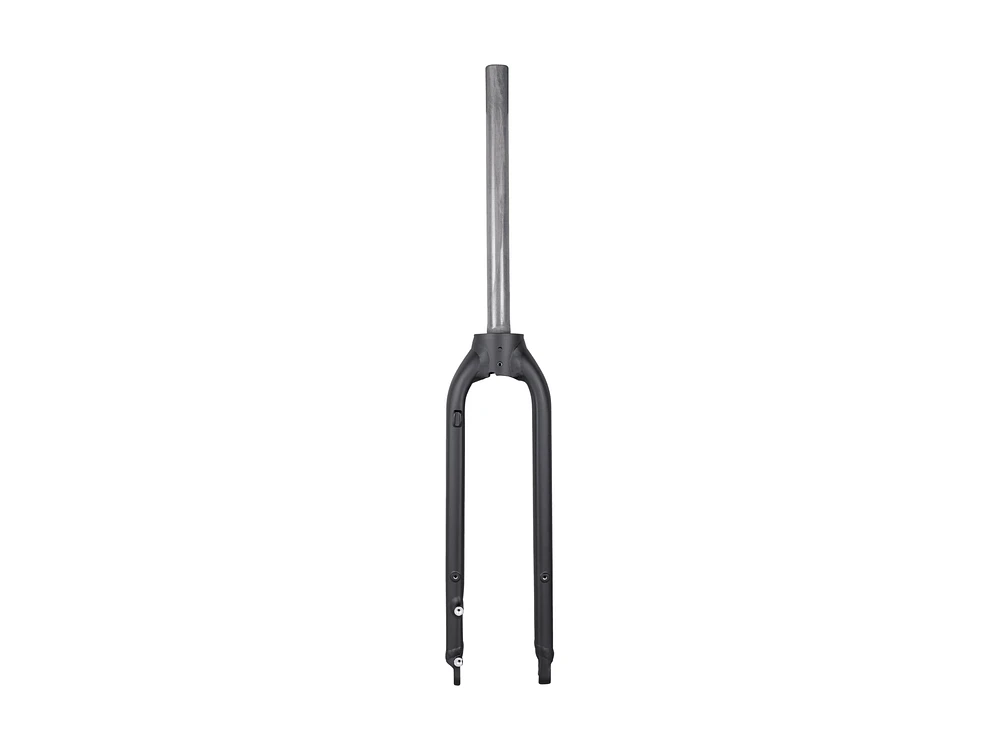 Trek Dual Sport+ 700c Rigid Fork