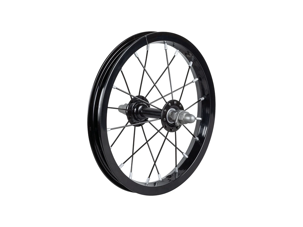 Trek Kickster 12˝ Spoked Wheel