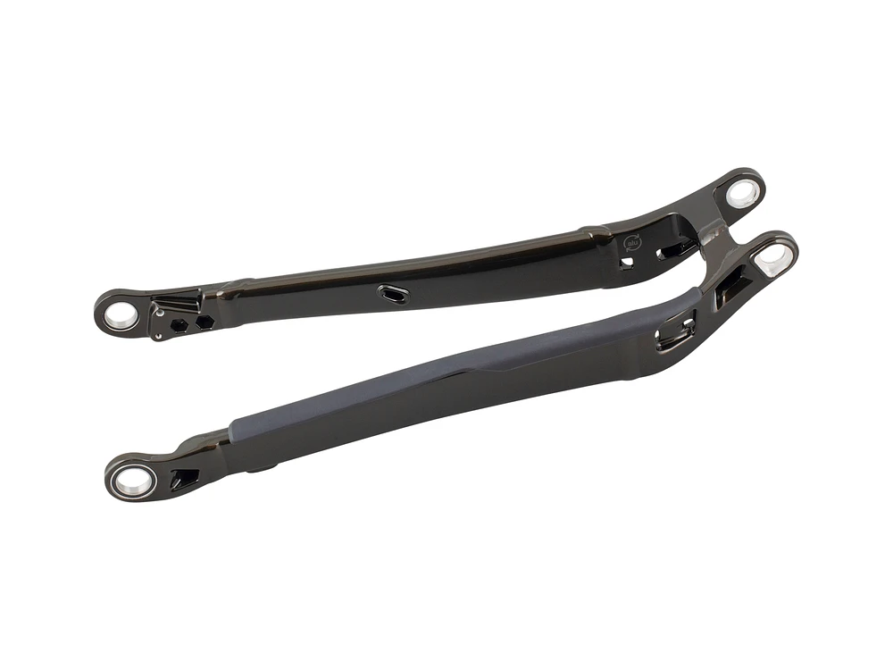 Trek 2022 Rail 29 Aluminum Chainstay