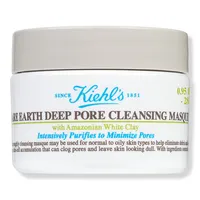 Kiehl's Since 1851 Travel Size Rare Earth Deep Pore Cleansing Mask