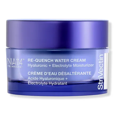 StriVectin Re-Quench Water Cream Hyaluronic + Electrolyte Moisturizer