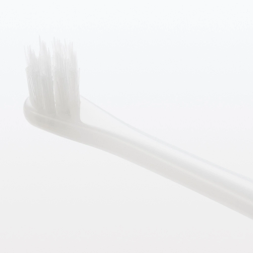 Replaceable Head Compact Medium Toothbrush