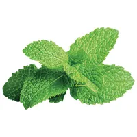 Click & Grow Peppermint Seed Capsule Refill - 3 Pack
