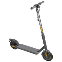 Shell Ride 5S Electric Scooter (350W Motor / 30km Range / 25km/h Top Speed) - Grey