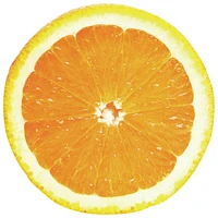 Breville Citrus Press Juicer - Silver
