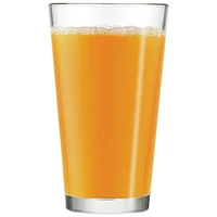 Breville Citrus Press Juicer - Silver