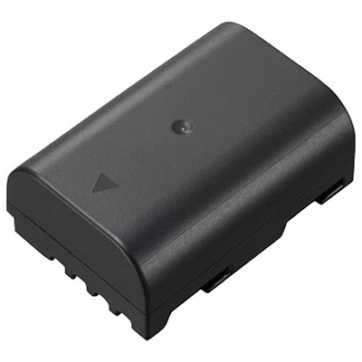 Batterie rechargeable lithium-ion 1860 mAh LUMIX pour appareils numériques de Panasonic (DMWBLF19)
