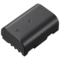 Batterie rechargeable lithium-ion 1860 mAh LUMIX pour appareils numériques de Panasonic (DMWBLF19)