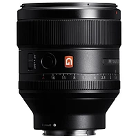 Sony E-Mount Full-Frame FE 85mm f/1.4 Premium G Master Portrait Prime Lens