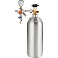 Insignia 2-Tap Kegerator (NS-BK2TSS6) - Silver/Black - Only at Best Buy