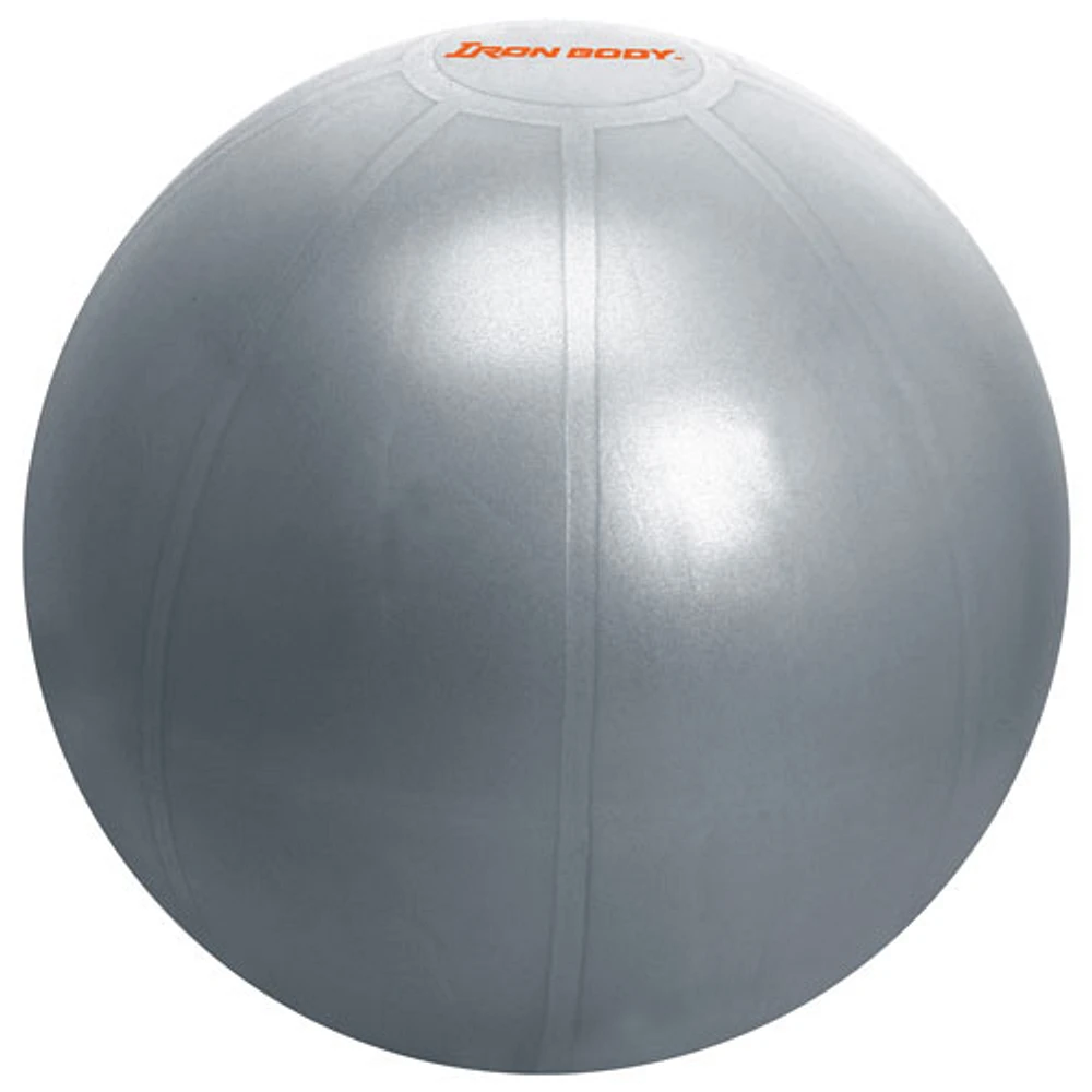 Iron Body Pro Fitness Ball - 65cm - Charcoal