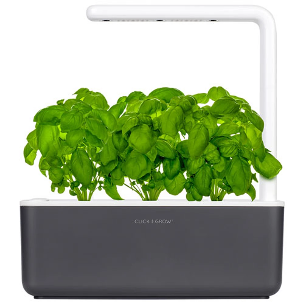Jardin intérieur intelligent/capsule de basilic de Click & Grow (SGS8US) - Paquet de 3 - Gris foncé
