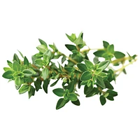 Click & Grow Thyme Seed Capsule Refill - 3 Pack