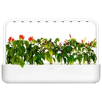 Click & Grow Smart Garden 9 (SG9S1US) - White