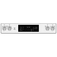 GE 30" 5.3 Cu. Ft. Fan Convection Slide-In Electric Range (JCS830SMSS) - Stainless Steel