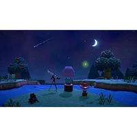 Animal Crossing: New Horizons (Switch)