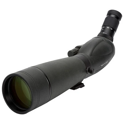 Lunette d'observation Trailseeker 20x-60x de Celestron (52332)