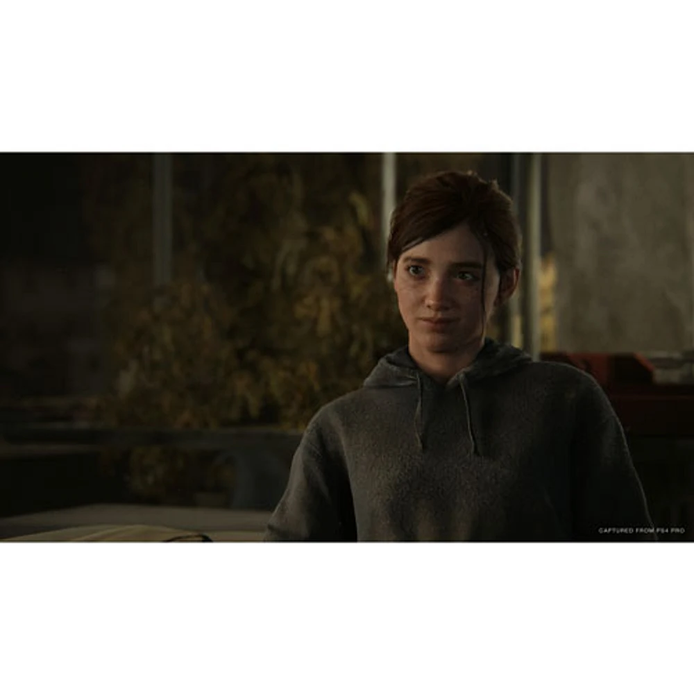The Last of Us Part II (PS4)