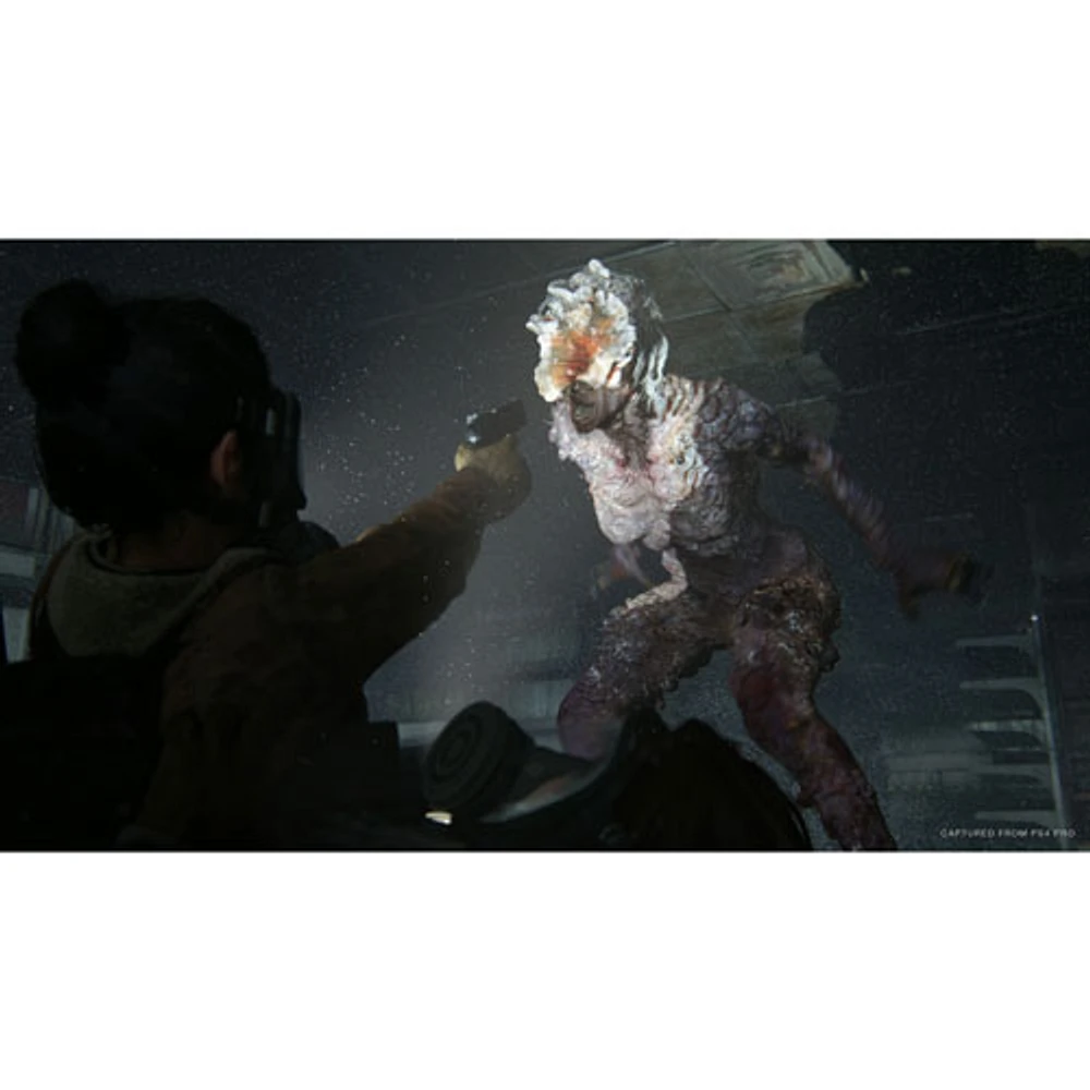 The Last of Us Part II (PS4)