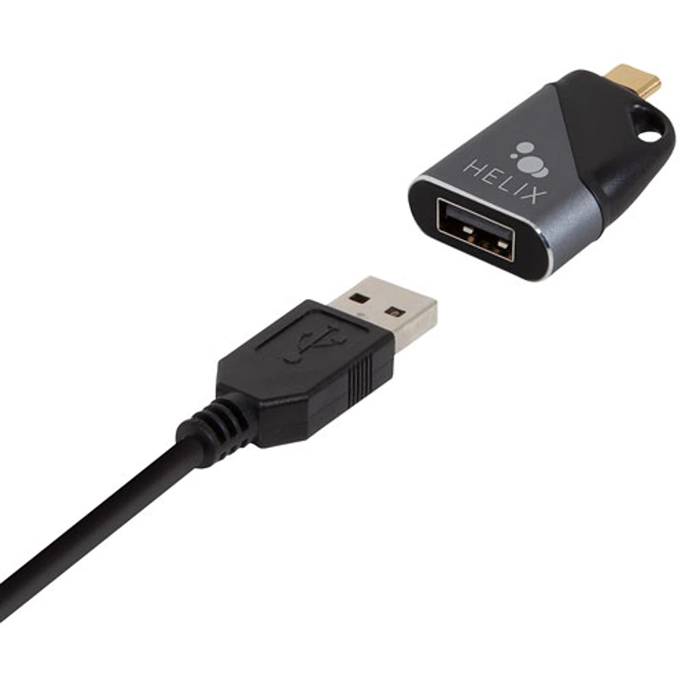 Adaptateur de voyage USB-C à USB-A de Helix (ETHADPMCA)