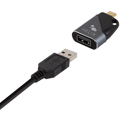 Adaptateur de voyage USB-C à USB-A de Helix (ETHADPMCA)