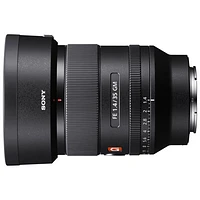 Sony E-Mount Full-Frame FE 35mm f/1.4 Premium G Master Large-Aperture Wide Angle Prime Lens