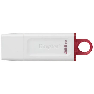 Kingston DataTraveler Exodia 256GB USB 3.2 Flash Drive