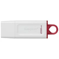Kingston DataTraveler Exodia 256GB USB 3.2 Flash Drive