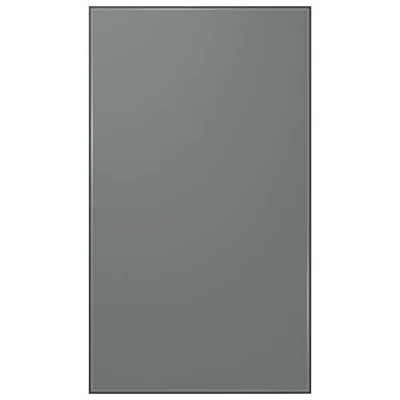 Samsung Panel for BESPOKE 4-Door Flex French Refrigerator - Bottom Panel