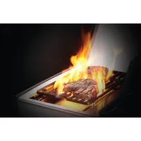 Napoleon Rogue SE 525 76500 BTU Propane BBQ with Grill Cover - Only at Best Buy