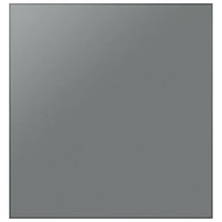 Samsung BESPOKE Dishwasher Door Panel - Satin Grey