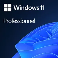 Microsoft Windows 11 Pro (PC) - Digital Download