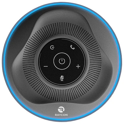 Haut-parleur sans fil Bluetooth The Work de Raycon - Gris/Noir