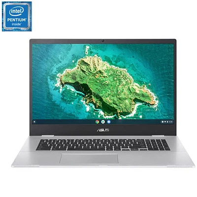 Chromebook de 17,3 po d'ASUS - Argenté transparent (Pentium Silver N6000 d'Intel/eMMC 128 Go/RAM 8 Go/ChromeOS)