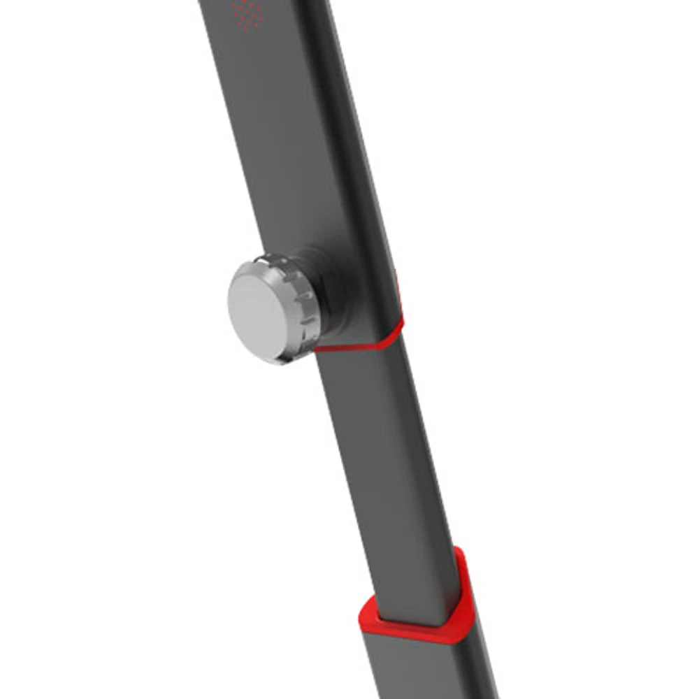Planche gyroscopique électrique Ninebot S MAX de Segway - Gris foncé
