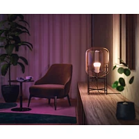 Philips Hue A19 Smart LED Light Bulb - White & Colour Ambiance