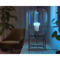 Philips Hue A19 Smart LED Light Bulb - White & Colour Ambiance