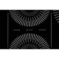 Frigidaire Gallery 30" 4-Element Induction Cooktop (GCCI3067AB) - Black