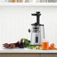 Omega Cold Press 365 Slow Juicer - Silver