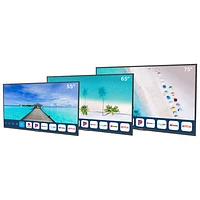 Téléviseur intelligent d'extérieur HDR DEL UHD 4K de 75 po avec webOS Partial Sun de Neptune (ODTV7503)