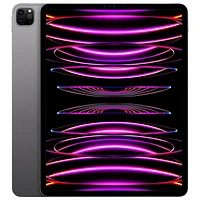 Apple iPad Pro 12.9" 2TB with Wi-Fi (6th Generation) - Space Grey