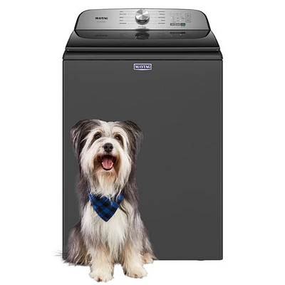 Maytag Pet Pro 5.4 Cu. Ft. Top Load Washer (MVW6500MBK) - Black Shadow