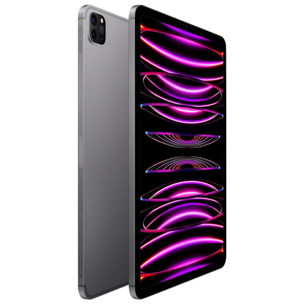 iPad Pro de 11 po 256 Go d'Apple Wi-Fi et 5G avec TELUS (4e génération) - Gris cosmique - Financement mensuel