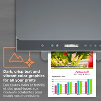 Imprimante à jet d'encre tout-en-un sans fil Supertank Smart Tank 6001 de HP - Jusqu'à 2 ans d'encre inclus*