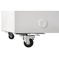 Frigidaire 24.8 Cu. Ft. Chest Freezer (FFCL2542AW)
