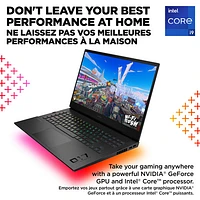 HP OMEN 17" Gaming Laptop - Shadow Black (Intel Core i9 13900HX/2TB SSD/32GB RAM/GeForce RTX 4090 /Win 11)