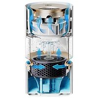 Humidificateur intelligent à évaporation de 3 L Rainforest de Smartmi