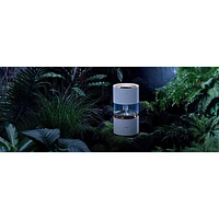 Humidificateur intelligent à évaporation de 3 L Rainforest de Smartmi