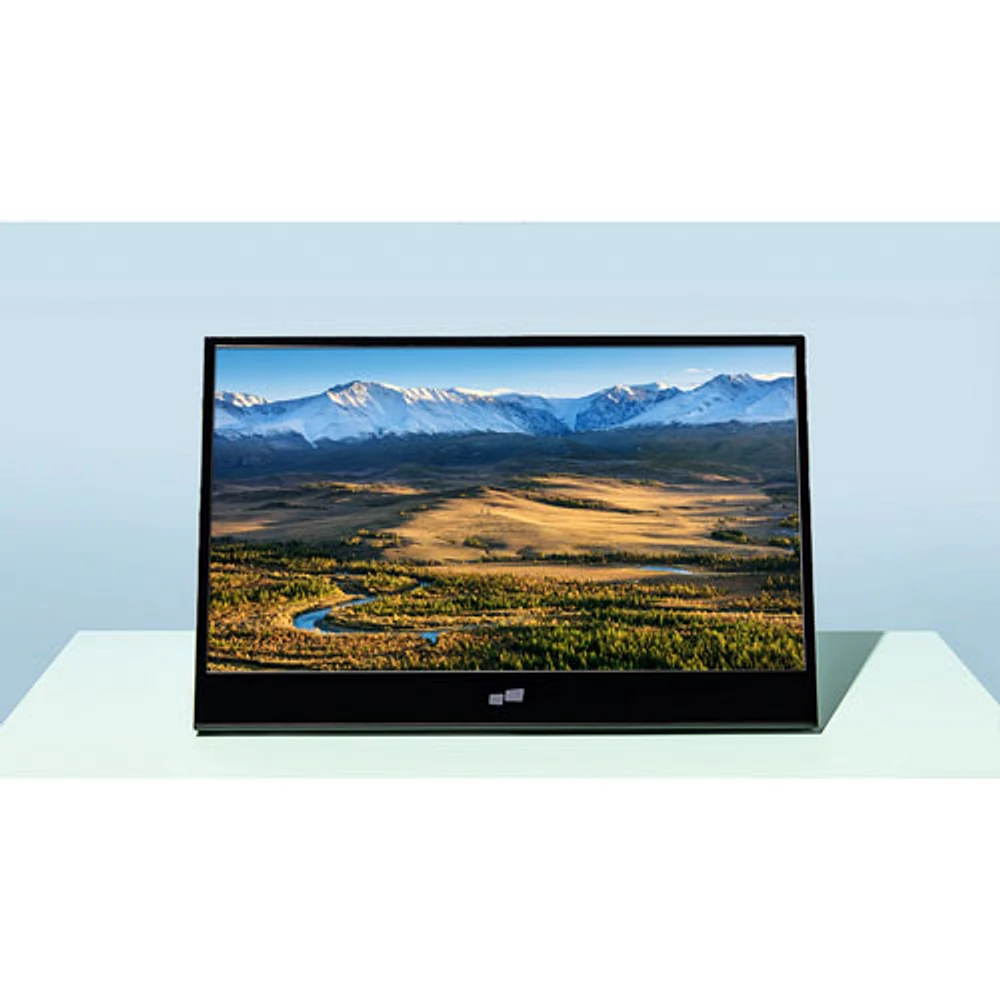 Moniteur ACL IPS HD intégrale 60 Hz de 16 po Glance de Mobile Pixels avec temps de réponse de 10 ms gris à gris (MP-101-1009P01) - Noir