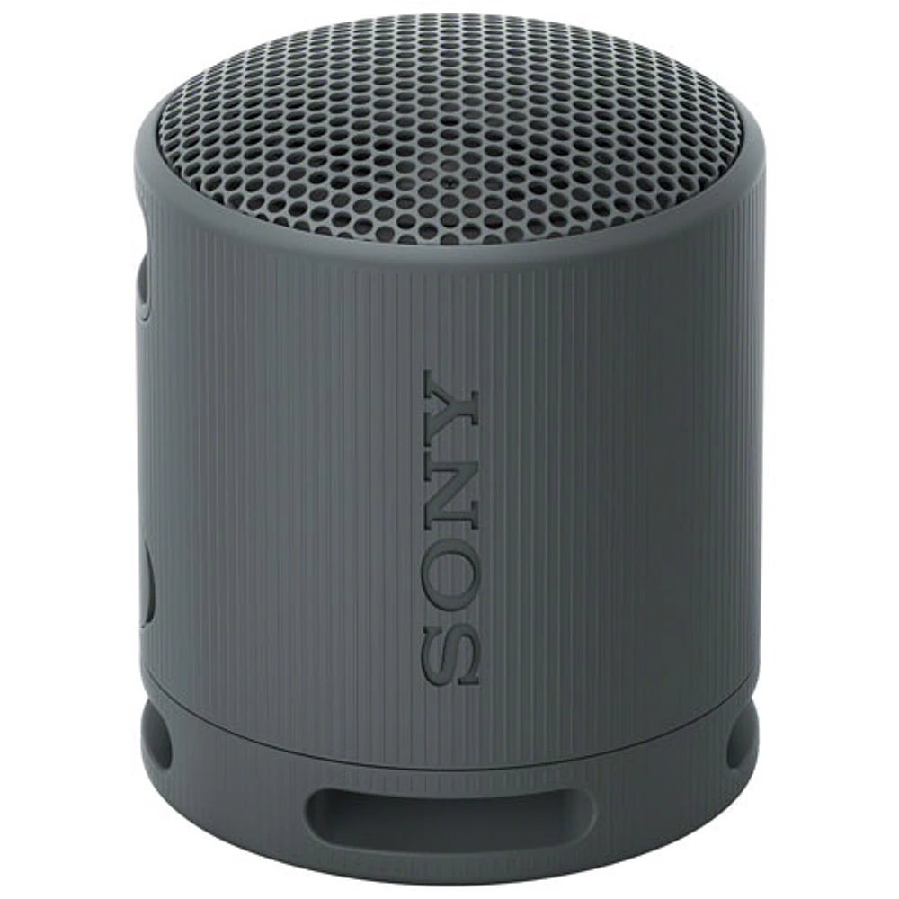 Haut-parleur sans fil Bluetooth étanche SRS-XB100 de Sony - Noir